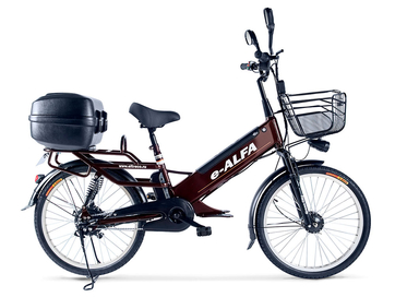 Электровелосипед Green City e-ALFA GL с кофром