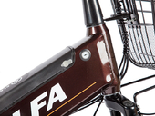 Электровелосипед Green City e-ALFA GL с термобоксом - Фото 13