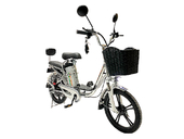 Электровелосипед GreenCamel Транк 18 V8 PRO (R18 250W 60V 20Ah) - Фото 0