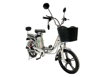 Электровелосипед GreenCamel Транк 18 V8 PRO (R18 250W 60V 20Ah)