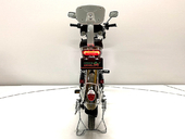Электровелосипед GreenCamel Транк 20 V8 PRO (R20 250W 60V 10Ah) - Фото 3