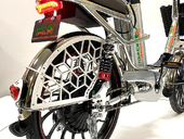 Электровелосипед GreenCamel Транк 20 V8 PRO (R20 250W 60V 10Ah) - Фото 11