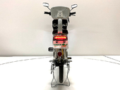 Электровелосипед GreenCamel Транк 20 V8 (R20 250W 60V 13Ah) - Фото 3