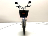 Электровелосипед GreenCamel Транк 20 V8 (R20 250W 60V 13Ah) - Фото 7