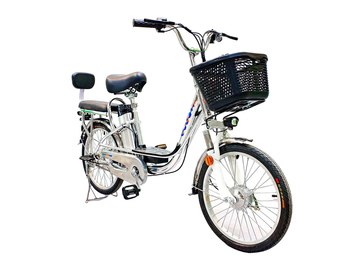 Электровелосипед GreenCamel Транк-20 V2 (R20 250W) [без АКБ]