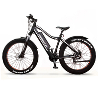 Hoverbot FB-2 PRO FATBIKE