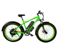 Elbike Phantom Vip 13 (Зеленый)