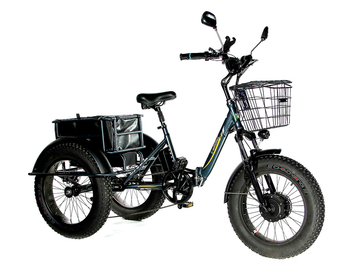 Электрический трицикл фэтбайк E-motions Panda 20 (750W 15Ah)